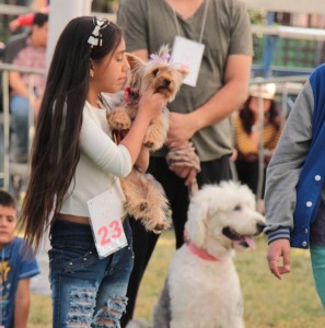 canina