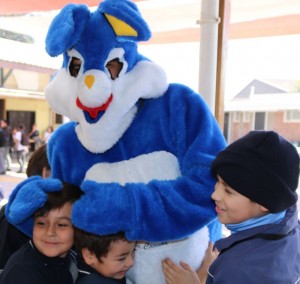 conejo2